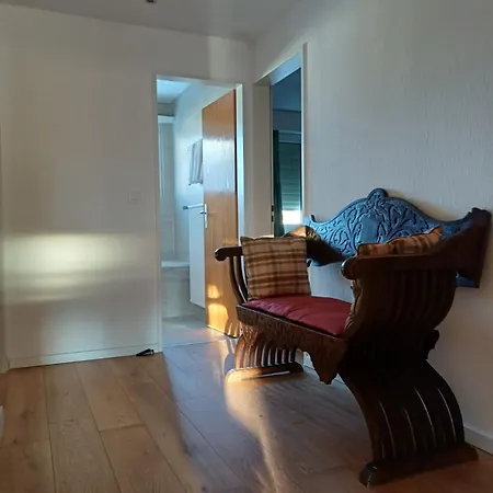 Grosszuegige 3 Schlafzimmer In Bergblick Zentral Apartament Davos